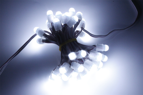 luce del pixel di 9mm LED, luce impermeabile IP67 SMD2025 di DC12V 0.2W LED