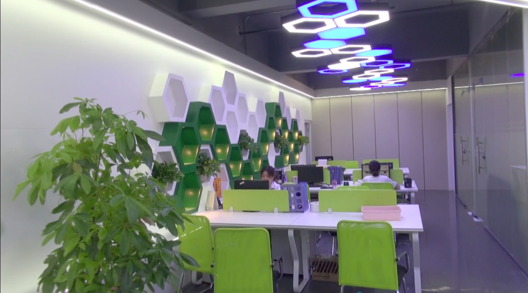 La CINA Shenzhen Xinhe Lighting Optoelectronics Co., Ltd. Profilo Aziendale