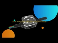 2904 RGBW hanno condotto la corda impermeabile all'aperto leggera 1903 della luce del punto IP67 il RGB LED