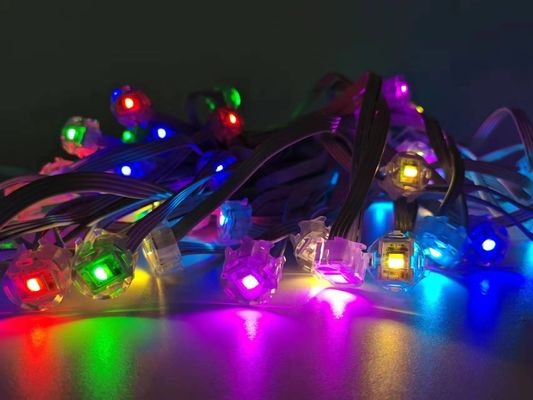 DMX512 1.5W RGB LED Eave Lights Outdoor House Eave Christmas Decoration