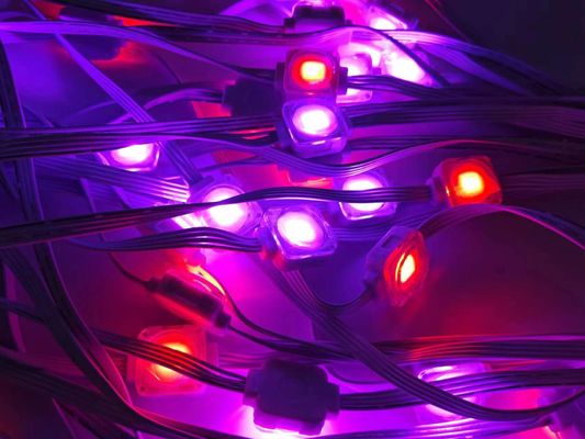 Holiday House decor lights sets Outdoor Lights  Smart WiFi Outdoor point pixel Lights