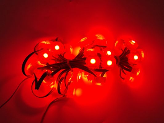 Christmas Color Monochrome Outdoor Decoration Lamp with 120 Degrees Beam Angle and IP67 Waterproof