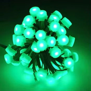 12V Smart RGB Outdoor LED Lights DMX512 Control IP67 Waterproof for Garden Decor