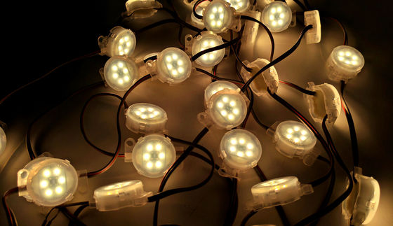 SPI Controller LED Strip Light For Garden Park Lighting PC Material Light Strings