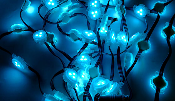 Led Point Light Source DC12V RGBW SMD5050 IP67 Waterproof  High Brightness 3cm For Outdoor Building