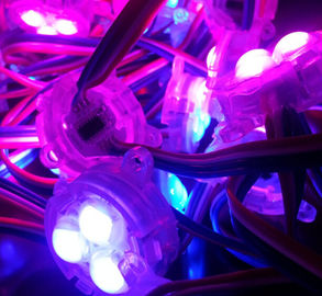 30mm SMD 5050 12V rgb hanno condotto il pixel con colore pieno-----11 anno che fabbrica esperienza