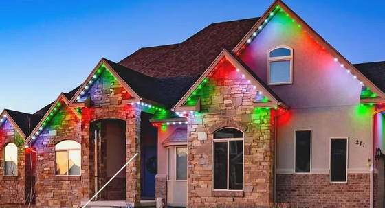Modulo del giro LED di Shell RGB RGBW della nebbia della luce SMD5050 del punto del pixel 20mm 30mm LED