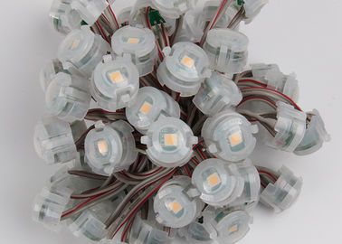 DC12V all'aperto 20mm SMD 5050 IP67 ha condotto le luci di Natale del pixel 2000mcd
