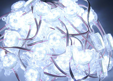 Pixel bianco del segno DC24V LED dei chip IP67 6 LED di RGB 30mm per la scatola di illuminazione