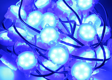Il punto blu impermeabile di Epistar SMD 5050 il RGB 30mm ha condotto all'aperto leggero