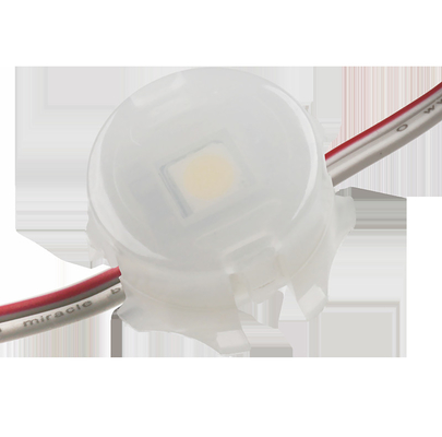 Il singolo punto IP67 impermeabile leggero 0.3W 12V 20mm di colore SMD 5050 LED ha personalizzato