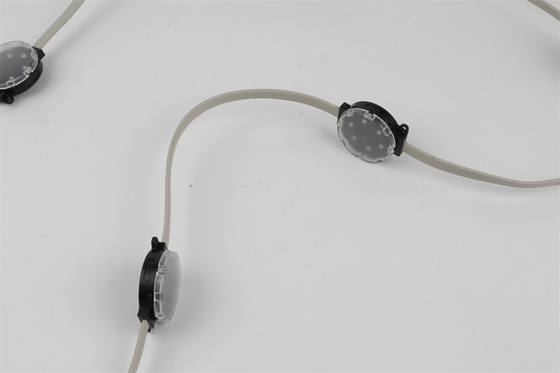 Luce impermeabile all'aperto LED SMD3535 50mm del punto del fagiolo DC24V di miracolo