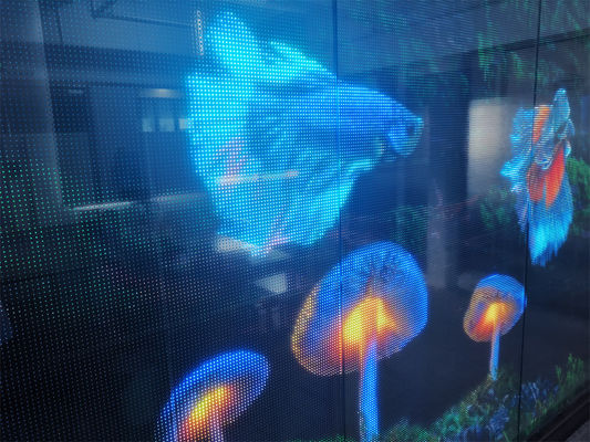 P16 DC5V RGB Color LED Screen trasparente per installazione interna