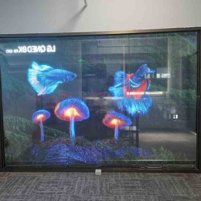 Display a pellicola LED trasparente per interni a colori pieni