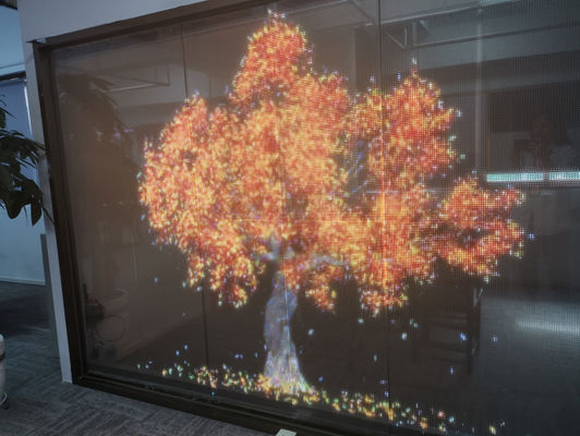 Display a LED trasparente per vetrine