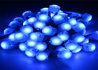 Luce blu del pixel di IP67 0.25W DC12V 5050 20mm LED con l'angolo d'apertura 120