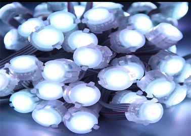 Su misura 1 pixel bianco LED di colore 20mm della luce del punto del chip 5050 0.25w LED singolo