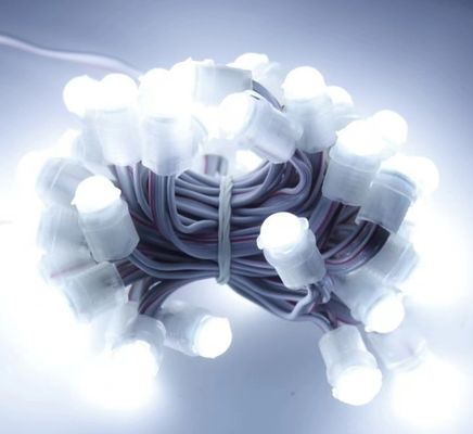 luce a LED bianca all'aria aperta impermeabile 50 LED DC 12V 9mm Led Pixel String Light