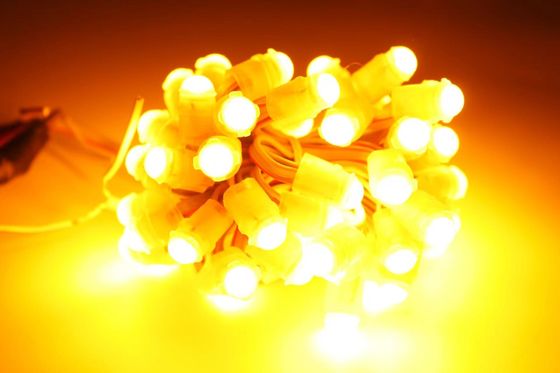 Miracle Bean LED Decorazioni natalizie LED Luce a punti a colori unici LED Pixel Light