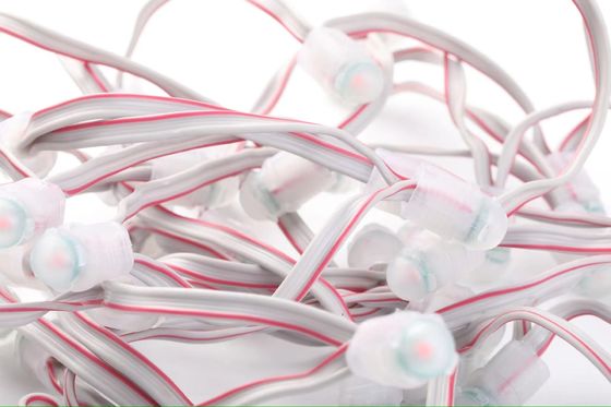 DC12V 0.2W Waterproof IP67 Single Color 9mm LED Exposed Light String For Outdoor Lights