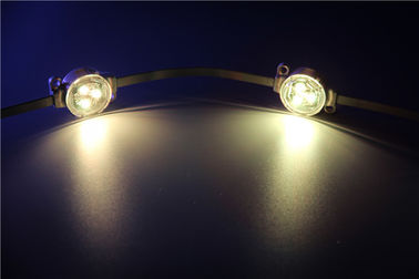 Luce impermeabile del punto di IP67 5050 SMD RGB 3pcs LED 30000 ore di durata della vita