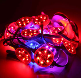 40mm all'aperto 50mm SMD3535 DMX Digital RGB hanno condotto il pixel IP67 impermeabile