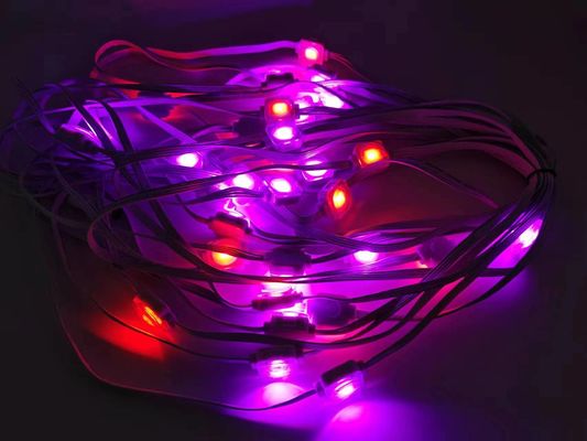 20mm RGB LED Pixel Addressable Point Lights Permanent Holiday Eaves Christmas Lights