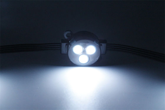 SMD decorativo 30 mm IP67 12V LED
