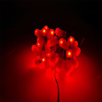 High quality outdoor IP67 waterproof Single Color 0.2W  Led DC 12V 9mm Led Pixel Light