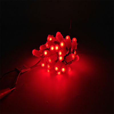 Miracle Bean LED Decorazioni natalizie LED Luce a punto a colori unici LED programmabile Pixel Light