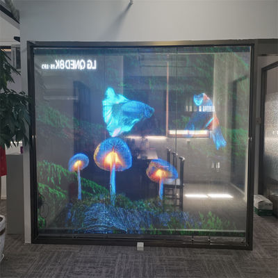 Color RGB P10 LED Film trasparente Screen Indoor H Flexible LED Display Screen