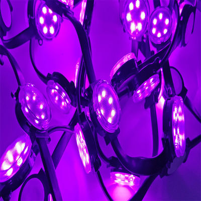 Ingrosso 24v 4cm Diametro LED Pixel Luci PC Materiali LED Natale Festa RGBW Impermeabile 1.5W