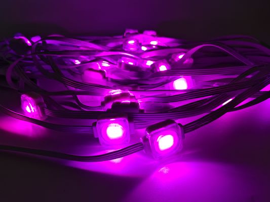 24V Outdoor House Waterproof Holiday Christmas Decor Point Lights Diameter 25mm