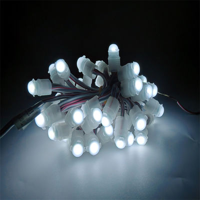 Buon prezzo IP67 Acque resistenti LED Pixel Light DC12V 0.2W con 30000 ore di durata Decorazione esterna Cambiabile