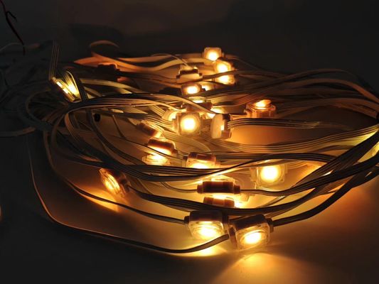 hot selling Multi Color 24v RGBIC remote and wifi Controller Strip pixel lights Led Eaves lights