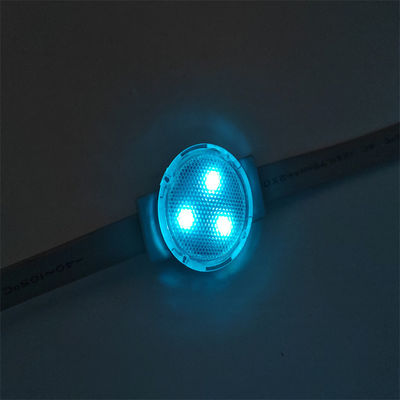 Decorazione esterna di Natale luci a LED ad alta luminosità Smd 5050 Led e protezione IP67