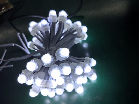 Disegno esterno SMD LED Pixel Light con alimentazione 12V e resistenza all'acqua IP67