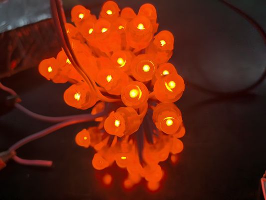 Acrilico LED retroilluminazione RGBIC DC5V Meduse luci di Natale per la decorazione esterna
