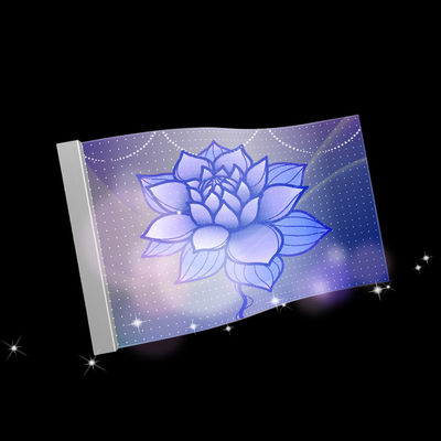 P10 schermo a pellicola trasparente a LED flessibile 960 mm*240 mm con tipo di installazione sospesa