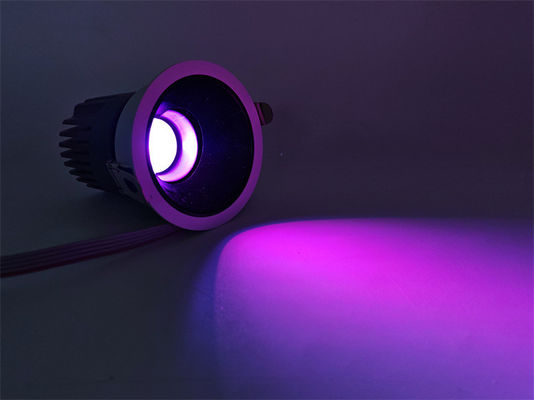Luce riflettente da interno regolabile 20W Illuminazione a colori circolari con frequenza 50-60Hz