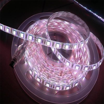 FPC flessibile PCB Board led 5050 RGBW alta luminosità prodotti di illuminazione multifunzionali 5000*12*4.0mm DC24V Striscia LED