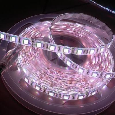 5050 LED Strip Light 12V Bare Board Design Energy Saving Flexible Light for Signage and Linear Projects