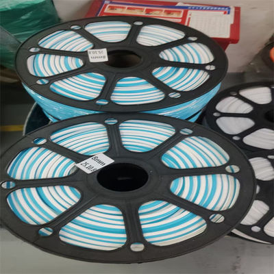 Striscia luminosa al neon LED RGB multicolore 12V IP65 Illuminazione decorativa impermeabile