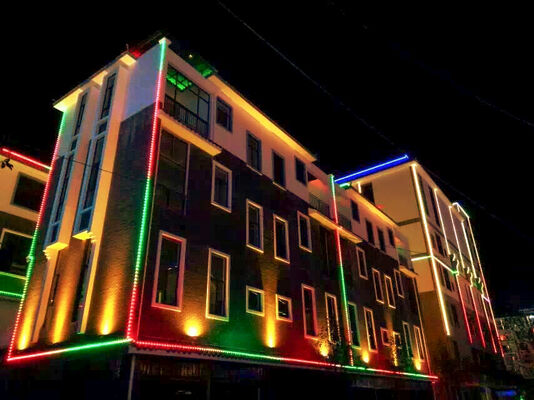 Controller Wifi Intelligente Impermeabile IP67 RGBW 12V 30mm Striscia LED Esterno Luce Decorativa Programmabile Lampada Paesaggistica