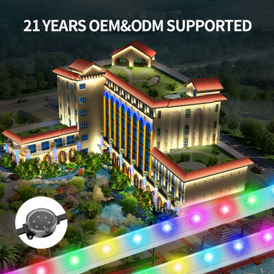 48V Long Distance Transmission LED Point Lights con 3535 LED Chips per Natale Parco a tema Decorazione paesaggistica Sistema di illuminazione per festival all'aperto