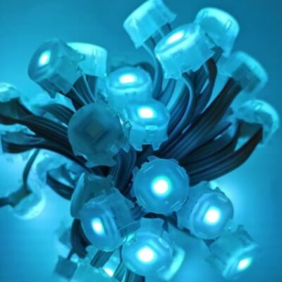 IP67 impermeabile 20mm DC12V SMD5050 LED Point Light Flessibile
