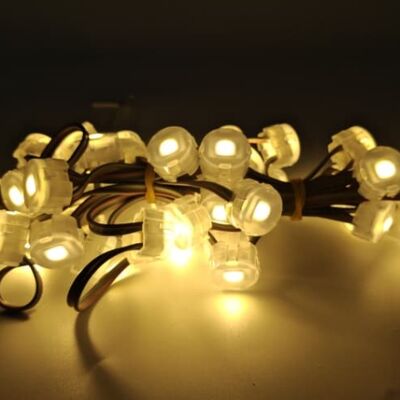 IP67 impermeabile 20mm DC5V SMD5050 LED Point Light Flessibile