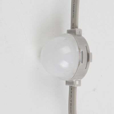 Luce LED a punto impermeabile IP67 ad alta luminosità dotata di lente per la decorazione di testate di porte commerciali e l'attrazione del traffico pedonale