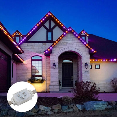 DC48V 40mm RGB Full Color LED Point Light IP67 impermeabile per decorazioni esterne