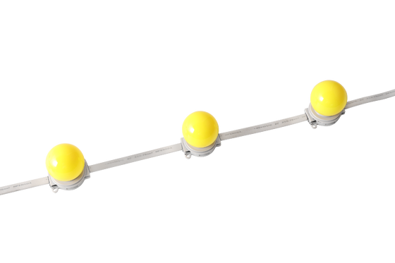 40 mm IP67 impermeabile DC 24V LED Globe Light per illuminazione architettonica esterna